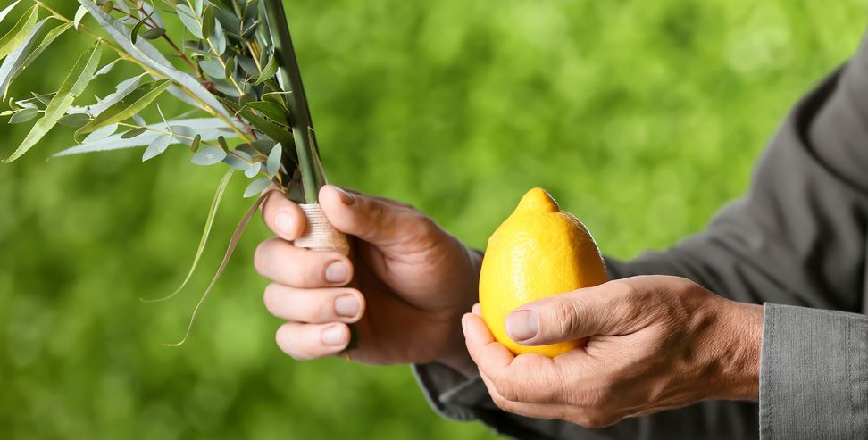 why non-Jews should build a sukkah and shake the lulav on Sukkot.