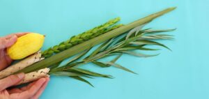 why shake the lulav and hold the etrog