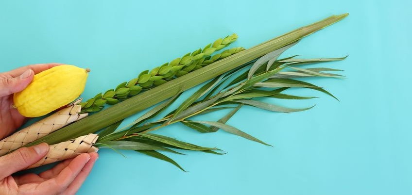 why shake the lulav and hold the etrog