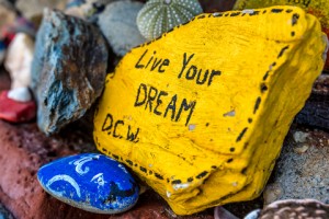 how to stop dreaming and start living your dream