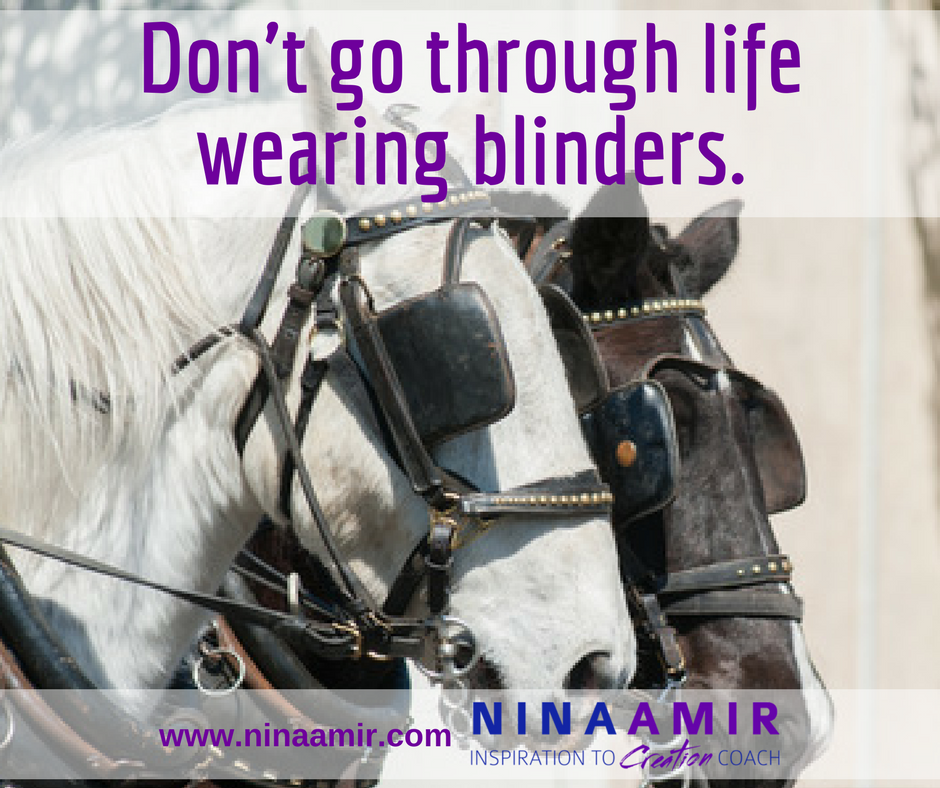 Don't Go Through Life Wearing Blinders