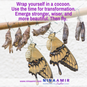 cocoon yourself while sheltered in place and emerge transformed