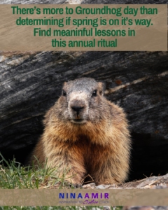 find meaning in Groundhog day