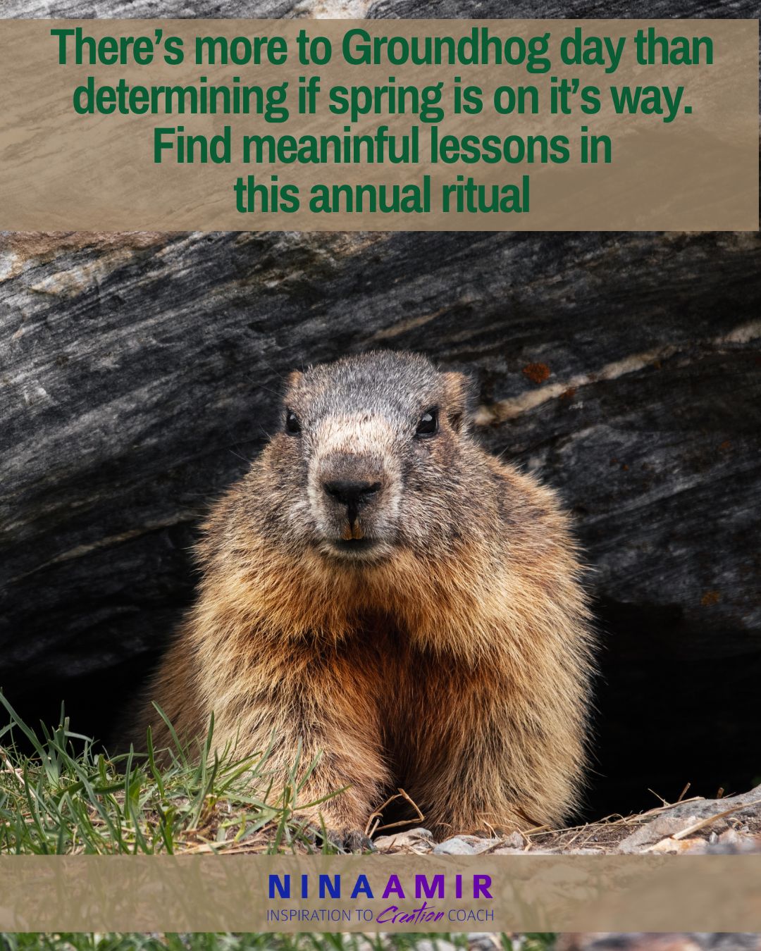 find personal growth lessons in Groundhog Day